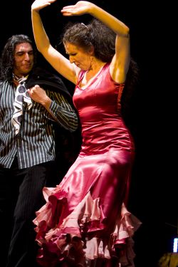 Mi Tierra Flamenca