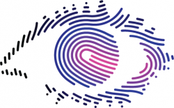 Big Brother 11 Auditions