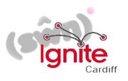Ignite Cardiff #5
