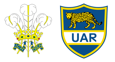 Wales v Argentina - World Cup Warm-up