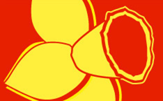 St David's Day Parade