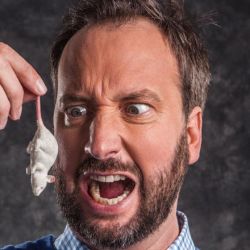 Tom Green�s European Comedy Road Trip